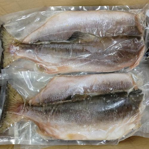 朝鲜松鱼学名叫什么