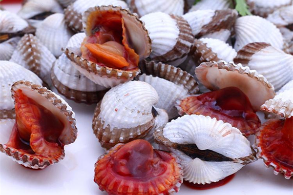 赤贝和血蛤毛蚶的区别是什么