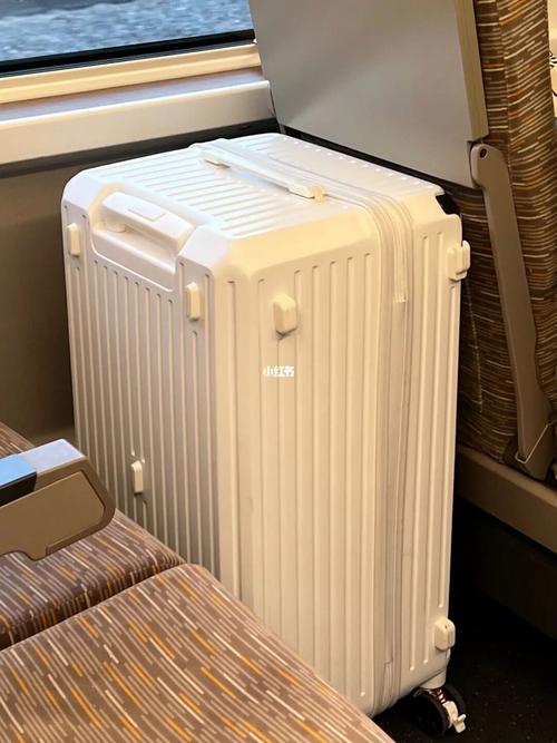 坐高铁带一行李箱 外带一个电暖器可以吗