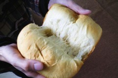 面包机做面包的方法能用中种（用面包机做面包如何避免失败）