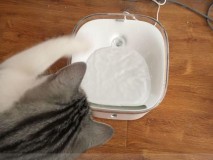 宠物智能饮水机怎么用