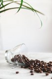 意式咖啡机出来的泡沫能喝吗