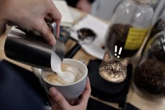 咖啡机的蒸汽棒是怎么打奶泡的