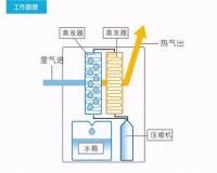 除湿机的水是什么水（除湿机的危害）