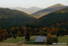 空气净化器能给我们带来哪些帮助（什么是真正的空气净化器）