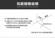 墙排式智能马桶高端品牌（大普墙排智能马桶）