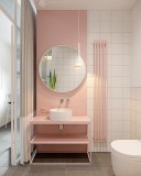 粉红色浴缸淋浴区一体（最小的浴缸一体淋浴房）