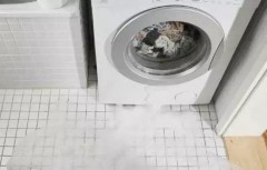 洗衣机排水电机怎么安装图解（洗衣机排水电机拆卸图解）