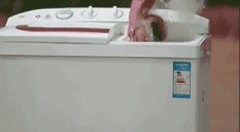 双缸洗衣机的甩干桶为什么会反转（双缸洗衣机插电甩干桶就转怎么修）