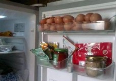 土鸡蛋能不能放在冰箱里（土鸡蛋冰箱放久了没坏能吃吗）