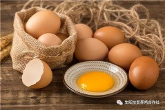 土鸡蛋在冰箱放多久才不能吃（土鸡蛋存放两个月还能吃吗）