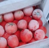 西红柿放冰箱为什么有毒（西红柿不能放冰箱里会致癌吗）