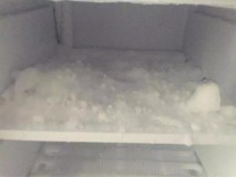 冰箱放食盐能防止结冰吗（白醋盐防止冰箱结冰）
