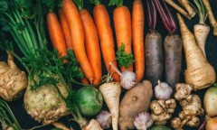 什么蔬菜可以长期放冰箱（适合长期放冰箱的蔬菜）