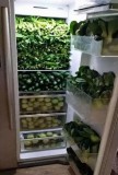 冰箱里的蔬菜放多久不能吃（买回来的蔬菜放冰箱久啦还能吃吗）