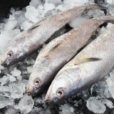 鱼在冰箱冷藏一年能吃吗（鱼在冰箱里存放几年了还能吃吗）