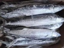 冰箱冷冻鱼一般保质期多久（鱼放冰箱里冷冻最长保质期几个月）