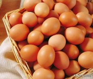如何储存鸡蛋直接放冰箱（鸡蛋存放冰箱的正确方法）