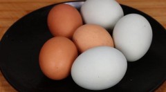 鸡蛋秋冬季有必要放冰箱吗（鸡蛋冬天不能放冰箱吗）