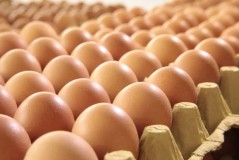 鲜鸡蛋能不能直接放冰箱（鲜鸡蛋必须放冰箱冷藏吗）