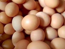 鸡蛋打开后可以放冰箱多久（鸡蛋打开可以在冰箱放几天）