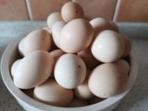 冰箱保存鸡蛋有水珠容易坏吗（冰箱放的鸡蛋怎么有水珠）
