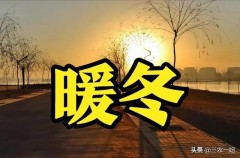 电视连续剧29集暖冬（免费观看电视连续剧暖冬）