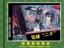 追捕二王1994版电视剧手机在线（追捕二王1994版30集）