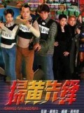 中国第一部扫黄电视剧（扫黄大片在线观看）