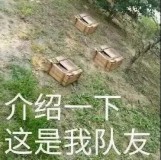 创维十年前电视投屏教程（08年旧版创维电视怎么投屏）