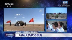 gasbo燃气灶多少钱（gasbo是什么牌子的燃气灶）