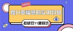 放净水器水龙头的支架（净水器水龙头2个开关）