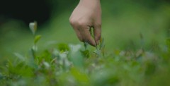 沁园净水器压力桶补气方法（如何往沁园净水机储水罐打气）