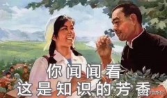 微波炉里面变黄了怎么处理（微波炉烧焦变黄怎么处理）