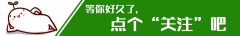 集成灶与天然气灶哪个安全（集成灶和燃气灶哪个安全性能好）