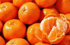 吃橘子为什么会上火（十大寒凉水果排名）