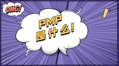 什么是pmp（pmp是什么意思通俗讲）