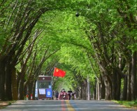 花开花落自有时（花开花落感悟人生句子）