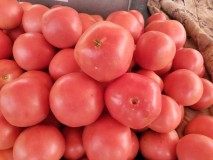 番茄怎么做好吃（西红柿菜谱100例）