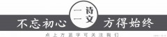 无关风月整句是什么（无关风月by苍鬼）