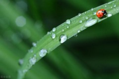 春雨又什么又什么填空（什么的春雨填合适词语二年级）