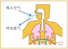 空气含氧量（空气含氧量标准是多少）