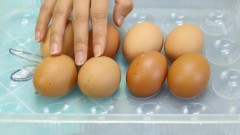 冰箱放鸡蛋的正确方法（鸡蛋为什么不宜放冰箱）