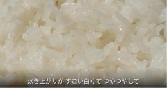 日本顶级电饭煲（日本顶级电饭煲品牌排行榜）