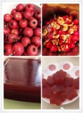 冬天水果榨汁机的做法（冬天榨汁机榨水果的100种做法）