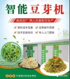 专业的全自动豆芽机使用方法（全自动豆芽机操作步骤）