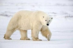 空调开制热30度一天多少钱（空调制热30度开一晚上多少钱）