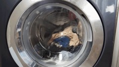新买的滚筒洗衣机为什么里面好臭（所有的滚筒洗衣机都会发臭吗）