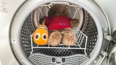 洗衣机的桶自洁用放洗衣粉吗（全自动洗衣机筒自洁用放洗衣粉吗）