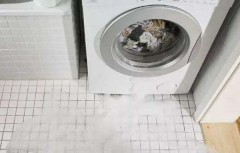 洗衣机排水预留位置图（洗衣机排水口尺寸图解）